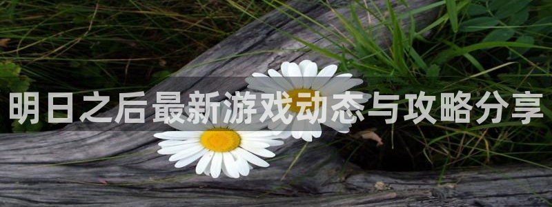 优贝娱乐平台负责人：明日之后最新游戏动态与攻略分享