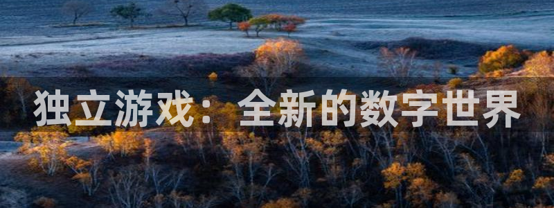 优贝娱乐测速：独立游戏：全新的数字世界