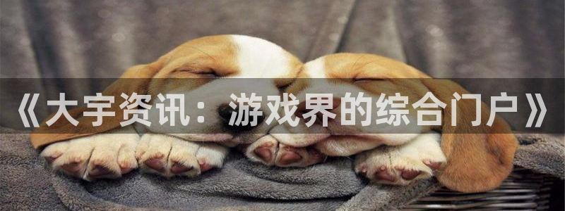 优贝娱乐平台注册开户：《大宇资讯：游戏界的综合门户》