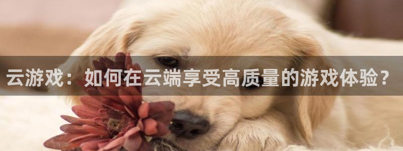 优贝娱乐平台登录入口：云游戏：如何在云端享受高质量的游戏体验