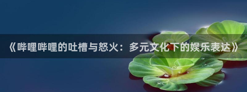 优贝娱乐官方登录网址：《哔哩哔哩的吐槽与怒火：多元文化下的娱