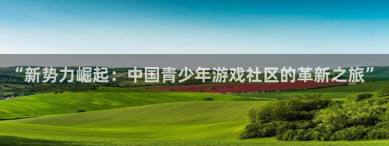 优贝娱乐网页登录入口官网：“新势力崛起：中国青少年游戏社区的