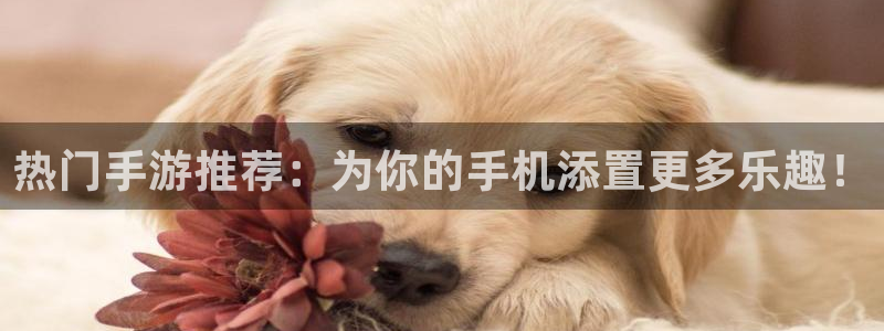 优贝娱乐娱乐：热门手游推荐：为你的手机添置更多乐趣！
