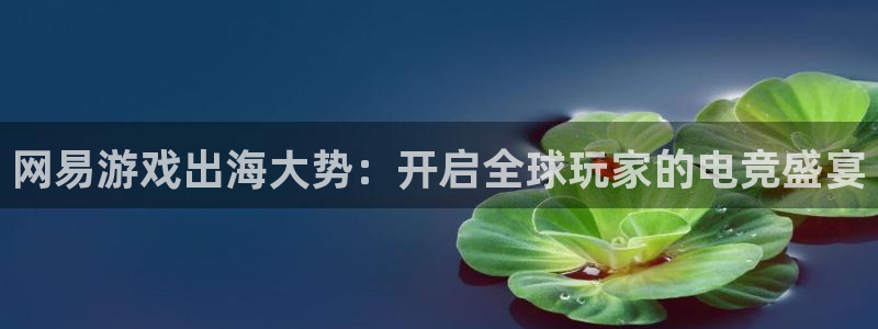 优贝娱乐在线登录：网易游戏出海大势：开启全球玩家的电竞盛宴