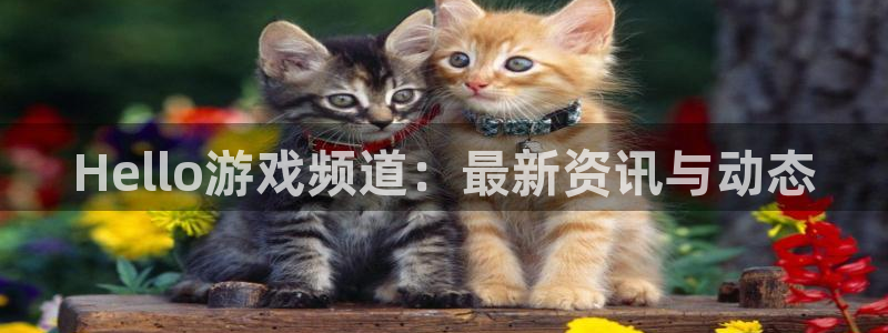 优贝娱乐4招商：Hello游戏频道：最新资讯与动态